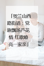 贺兰山西路街道：党旗飘扬芦花情 红歌嘹亮一家亲