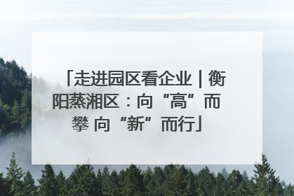 走进园区看企业｜衡阳蒸湘区：向“高”而攀 向“新”而行