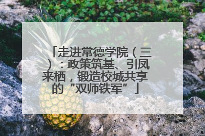 走进常德学院（三）：政策筑基、引凤来栖，锻造校城共享的“双师铁军”