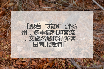 跟着“苏超”游扬州，多重福利迎客流，文旅名城接待游客量同比激增