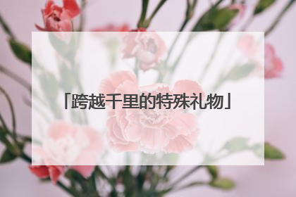 跨越千里的特殊礼物