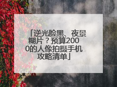 逆光脸黑、夜景糊片？预算2000的人像拍摄手机攻略清单
