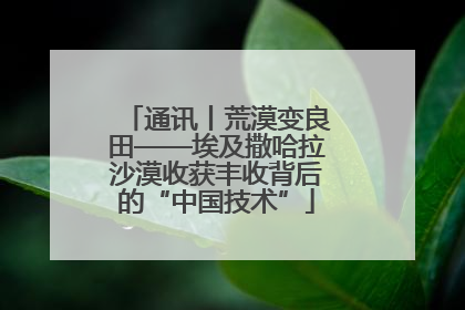 通讯丨荒漠变良田——埃及撒哈拉沙漠收获丰收背后的“中国技术”