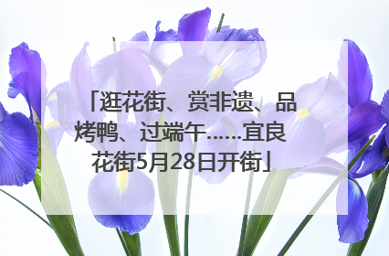 逛花街、赏非遗、品烤鸭、过端午……宜良花街5月28日开街