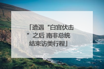 遭遇“白宫伏击”之后 南非总统结束访美行程