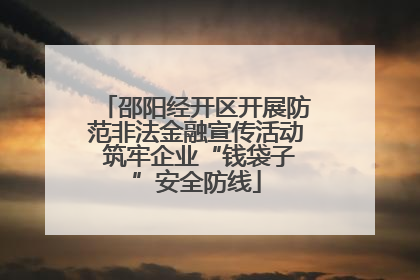 邵阳经开区开展防范非法金融宣传活动 筑牢企业“钱袋子”安全防线