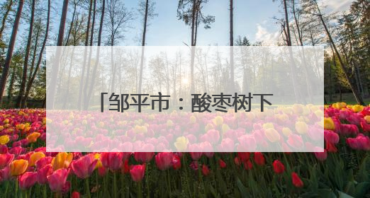 邹平市：酸枣树下“一地多收” 莲藕塘中盘活共富资源