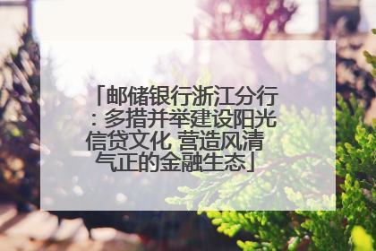 邮储银行浙江分行：多措并举建设阳光信贷文化 营造风清气正的金融生态