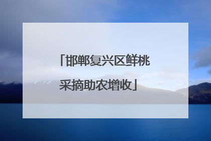 邯郸复兴区鲜桃采摘助农增收