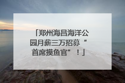 郑州海昌海洋公园月薪三万招募“首席摸鱼官”！