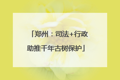 郑州：司法+行政助推千年古树保护