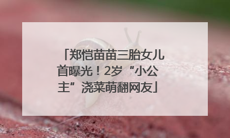 郑恺苗苗三胎女儿首曝光！2岁“小公主”浇菜萌翻网友