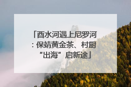 酉水河遇上尼罗河：保靖黄金茶、村厨“出海”启新途