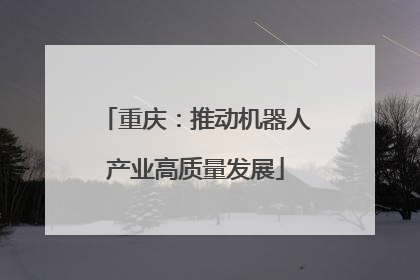 重庆：推动机器人产业高质量发展