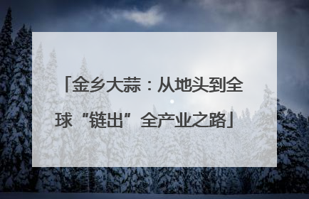 金乡大蒜：从地头到全球“链出”全产业之路