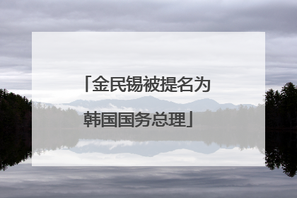 金民锡被提名为韩国国务总理