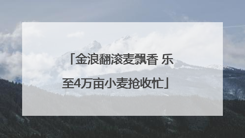 金浪翻滚麦飘香 乐至4万亩小麦抢收忙