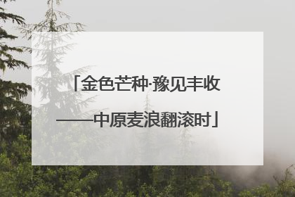 金色芒种·豫见丰收——中原麦浪翻滚时