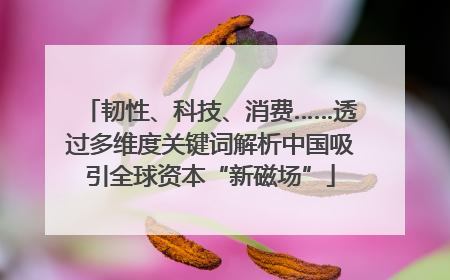 韧性、科技、消费……透过多维度关键词解析中国吸引全球资本“新磁场”