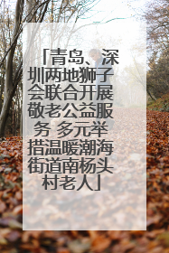 青岛、深圳两地狮子会联合开展敬老公益服务 多元举措温暖潮海街道南杨头村老人