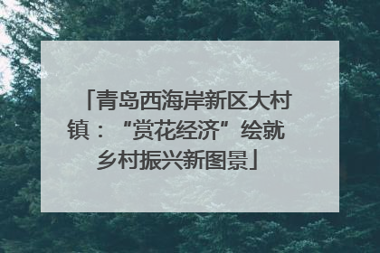 青岛西海岸新区大村镇：“赏花经济”绘就乡村振兴新图景