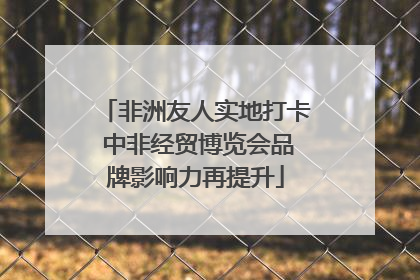非洲友人实地打卡 中非经贸博览会品牌影响力再提升