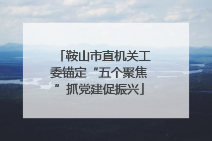 鞍山市直机关工委锚定“五个聚焦”抓党建促振兴
