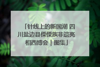 针线上的新国潮 四川盐边县傈僳族非遗亮相西博会｜图集