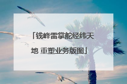 钱峰雷掌舵经纬天地 重塑业务版图