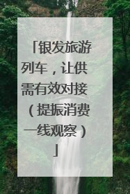 银发旅游列车，让供需有效对接（提振消费一线观察）