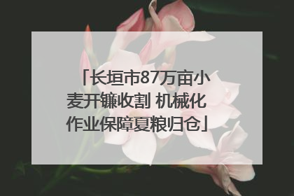 长垣市87万亩小麦开镰收割 机械化作业保障夏粮归仓