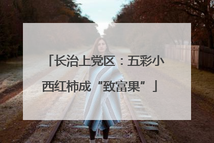 长治上党区：五彩小西红柿成“致富果”