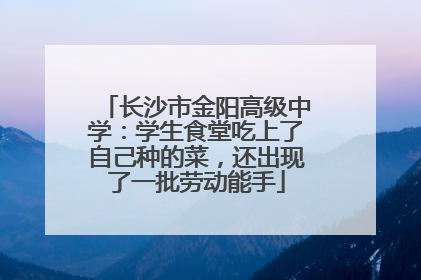 长沙市金阳高级中学：学生食堂吃上了自己种的菜，还出现了一批劳动能手