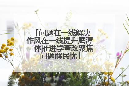 问题在一线解决 作风在一线提升鹰潭一体推进学查改聚焦问题解民忧