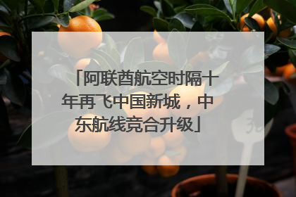 阿联酋航空时隔十年再飞中国新城，中东航线竞合升级