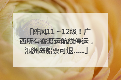 阵风11～12级！广西所有客渡运航线停运，涠洲岛船票可退……