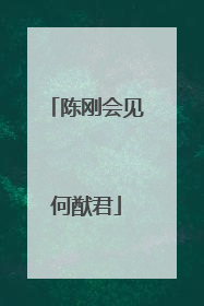 陈刚会见何猷君