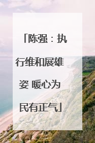 陈强：执行维和展雄姿 暖心为民有正气