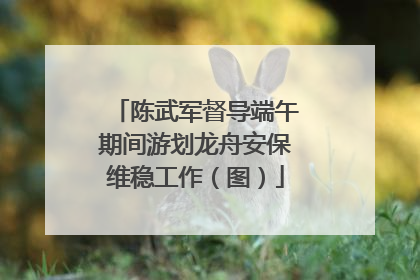 陈武军督导端午期间游划龙舟安保维稳工作（图）