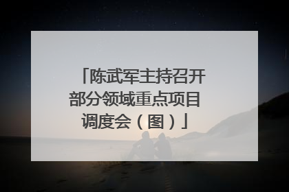 陈武军主持召开部分领域重点项目调度会（图）