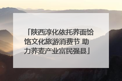 陕西淳化依托荞面饸饹文化旅游消费节 助力荞麦产业富民强县