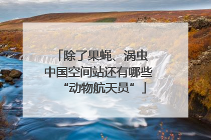 除了果蝇、涡虫 中国空间站还有哪些“动物航天员”