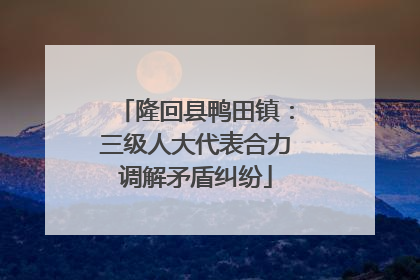 隆回县鸭田镇：三级人大代表合力调解矛盾纠纷