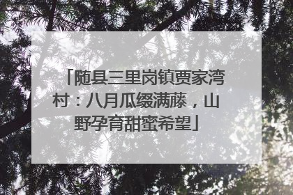 随县三里岗镇贾家湾村：八月瓜缀满藤，山野孕育甜蜜希望