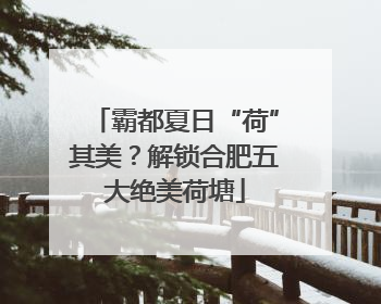 霸都夏日“荷”其美？解锁合肥五大绝美荷塘