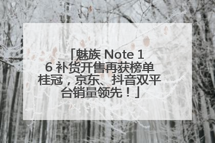 魅族 Note 16 补货开售再获榜单桂冠，京东、抖音双平台销量领先！