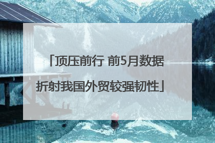 顶压前行 前5月数据折射我国外贸较强韧性