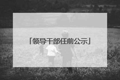 领导干部任前公示