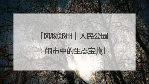 风物郑州｜人民公园：闹市中的生态宝藏