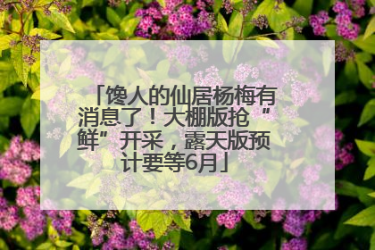 馋人的仙居杨梅有消息了！大棚版抢“鲜”开采，露天版预计要等6月